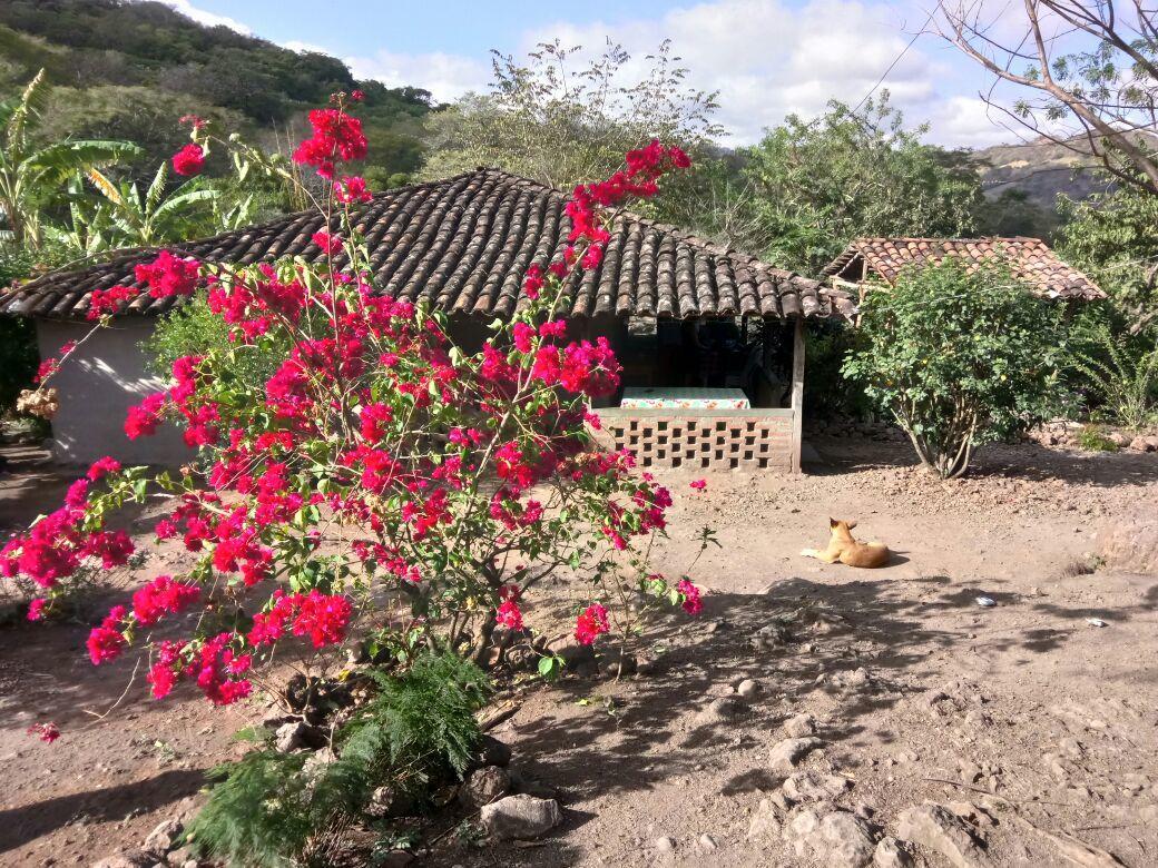Hostal La Ceibita Tours Los Potrerillos Exterior foto